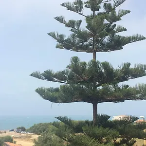 Bed & Breakfast Frontemare, Agrigento